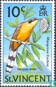 Coulicou manioc