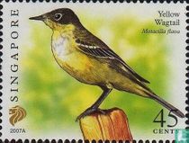 Birds