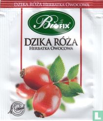 Dzika Róza
