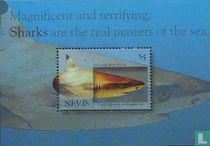 requins