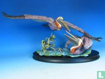 Pelican Brun