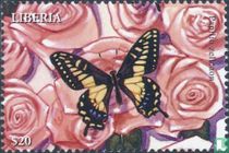 Butterflies  