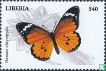 Butterflies   