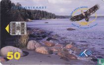 Hoia Eesti Merdi