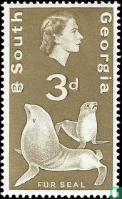 Fauna
