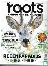 Roots 8