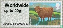 Highland Cattle