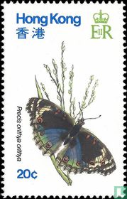 Papillons 