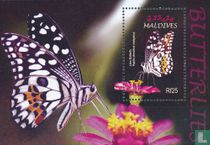 Butterflies  