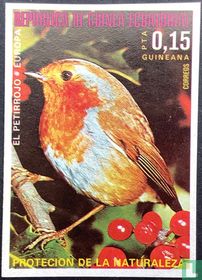 European birds  