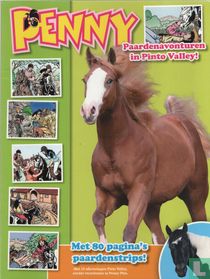 Paardenavonturen in Pinto Valley