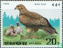 Roofvogels 