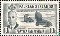 Southern Sea Lion and South American Fur Seal for sale