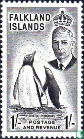 Gentoo Penguins for sale