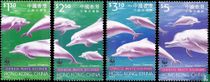 Dauphin blanc chinois