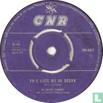 Yn E Lyte By De Sédyk 