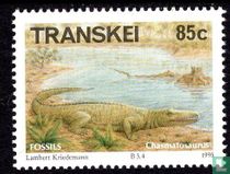 Prehistoric Animals