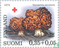 Paddenstoelen