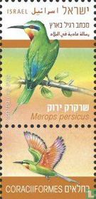 Green bee-eater