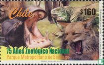 75 ans du zoo de Santiago