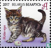 Chats