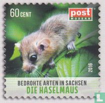 La souris