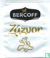 Zázvor