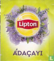 Adaçayi