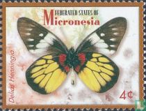 Butterflies  