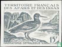 Faune 