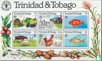 World Food Day 