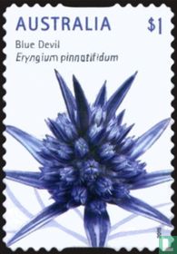 Blue devil