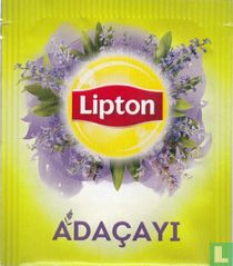 Adaçayi  
