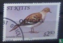 Oiseaux