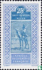 Targui 