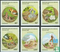 Oiseaux acheter