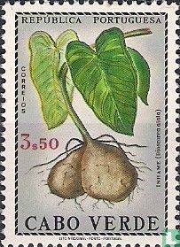 Yam