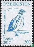 Oiseaux
