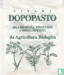 Dopopasto