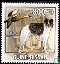 Dogs with bird