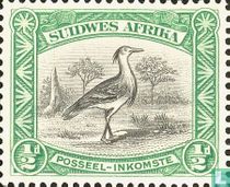 Bustard (Afrikaans)