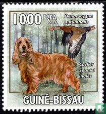 Dogs with bird