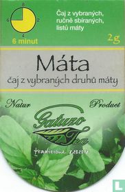 Gatuzo Tea theezakjes catalogus