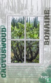 Kaktuswald - Bonaire