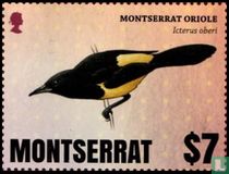 Oiseaux de Montserrat
