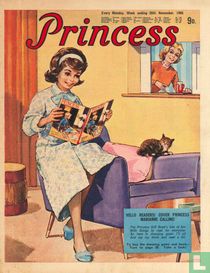Princess 48