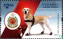 Working dogs in government service