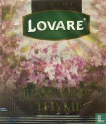 Lovare [r] sachets de thé catalogue