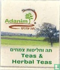 Teas & Herbal Teas 