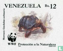 Turtles